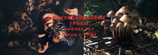 гидропоника Надым