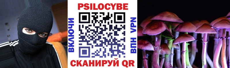 Купить где  Евпатория  Галлюциногенные грибы мицелий 